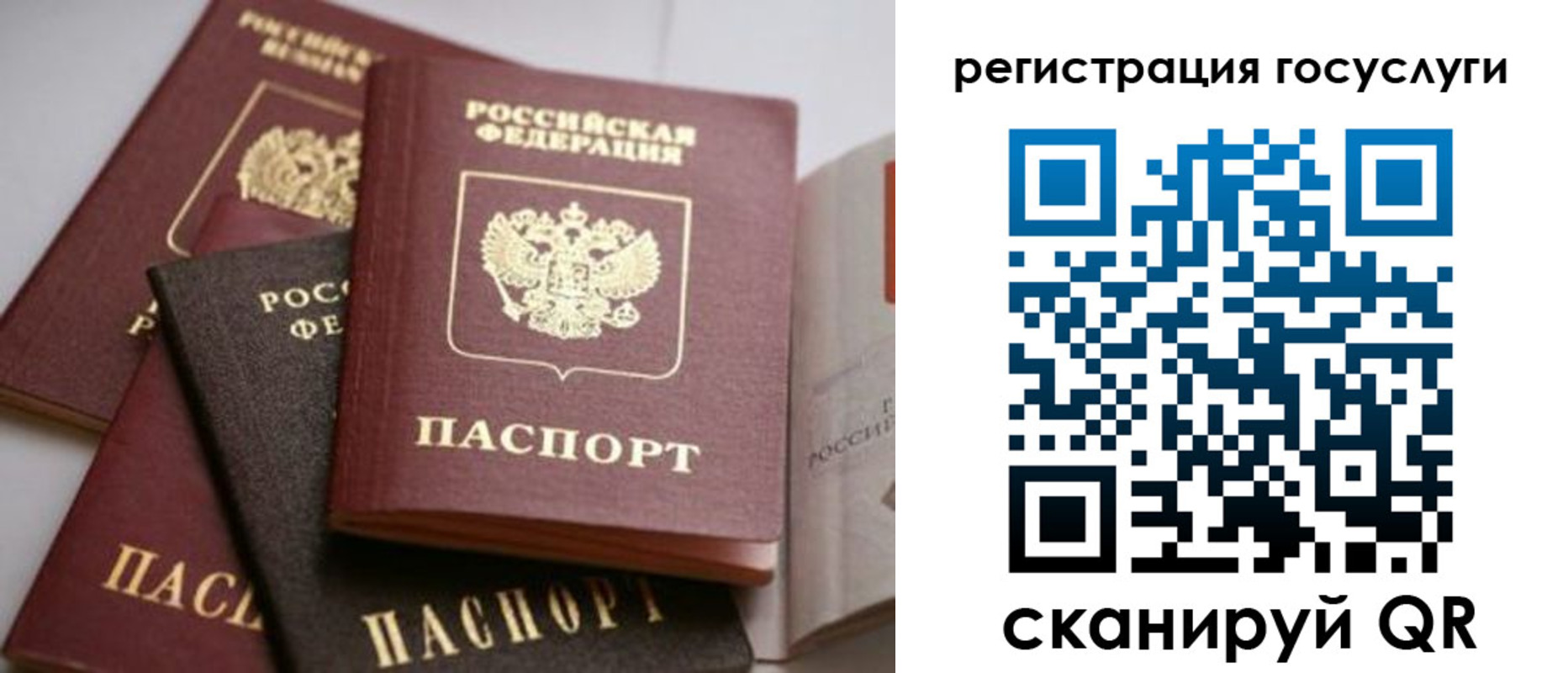 пропишу в квартире в Щёлково